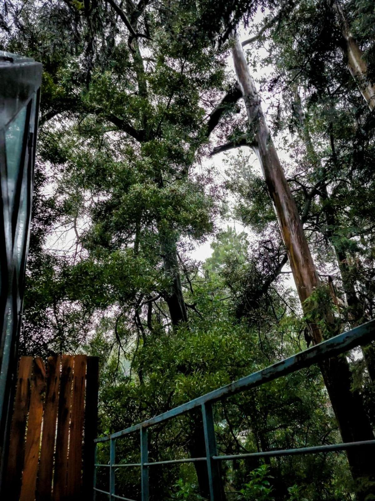 乌提 Woodhouse酒店 外观 照片